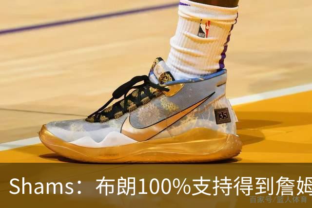Shams：布朗100%支持得到詹姆斯 他告诉里奇·保罗想搭档詹姆斯